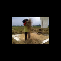 BJB Gandeng LPPNU Salurkan Kredit Untuk Petani