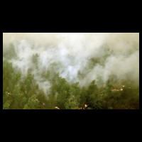 LPBINU Siap Bantu Pemerintah Cegah Kebakaran Hutan dan Lahan