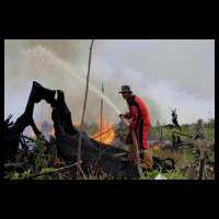 LPBINU Imbau Hindari Pembakaran untuk Buka Lahan