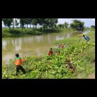 LPBINU Pekalongan dan Kudus Tanam Pohon dan Bersih-bersih Sungai