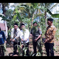 Lestarikan Lingkungan, LPBINU Malang Gelar &lsquo;Adapsi Pohon&rsquo;&nbsp;