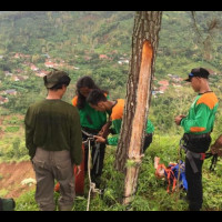 Cegah Longsor, LPBINU Ponorogo Tanam Vettiver di Desa Banaran