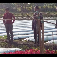 Rintis Kelompok Usaha Bersama, LPPNU Bojonegoro Kembangkan Pertanian